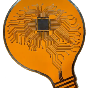 Front view of Brain-in-Bulb